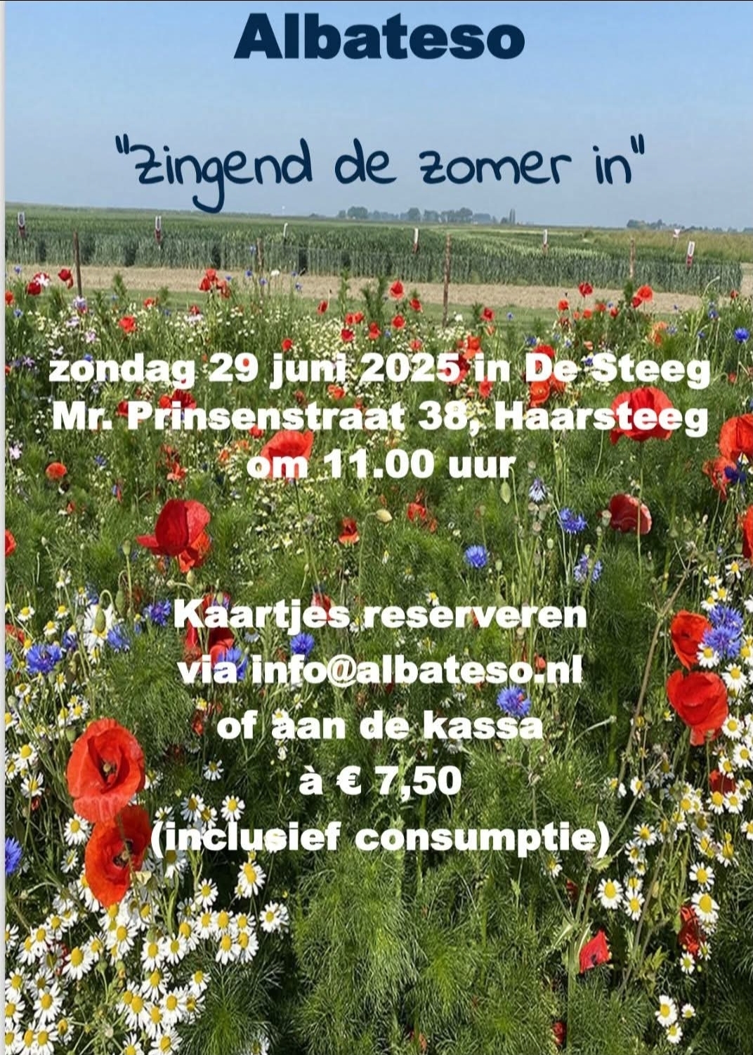 Zomerconcert Albateso